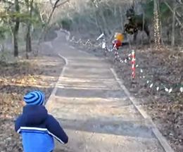 ����ʶ�ε������Ω�������ࡢ2��Ⱦ�Υ��å�����