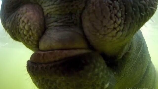 �ޥʥƥ����θ��϶᤯�Ǥ��ä��긫��ȷ빽���⤤