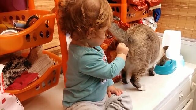 そこはアカン!猫にエサをあげ損ない、とんでもない過ちをおかしそうになった女の子
