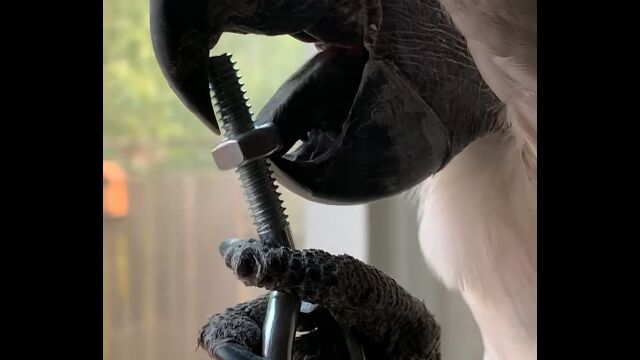 ������������Ѥ˻Ȥ����ʤ������ब����