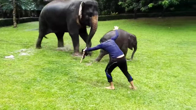 Ǩ�줿�����ǥ���������ʹ֤򿿻����ƥ��������륾���λҶ����İ���