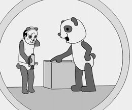 �礭�ʵ����Τ������������æ�Х����ࡡ�ѥåĥ�Կʶ�