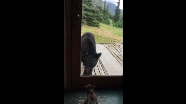 ���Ȥ��Ȥ˥��ޤ���äƤ��Ƥ⡢ͦ�Բ̴���ǭ������������