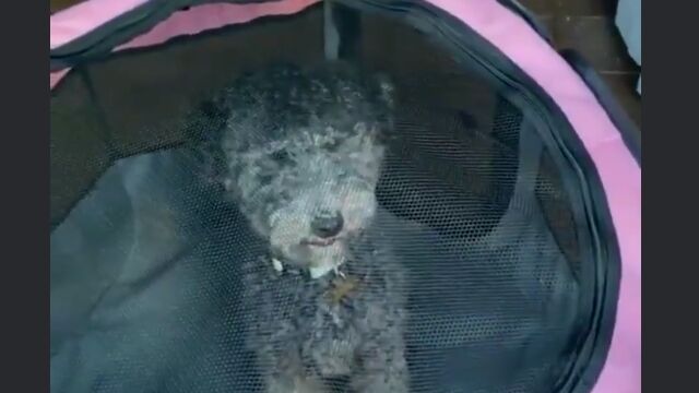 �����˻Ȥ����ְ㤨�Ƥ뤱�ɡ������̣�Ȥ����ʤ��Ƥ�������