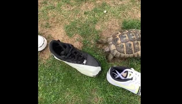 ���ä����ɤ����ơġġ��򤤥��ˡ������ˤϹ��⤻�����������ˡ����������˹��⤹�륫��