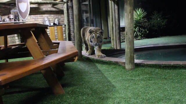 ����ޤ���ž����򤹤�ȥ�