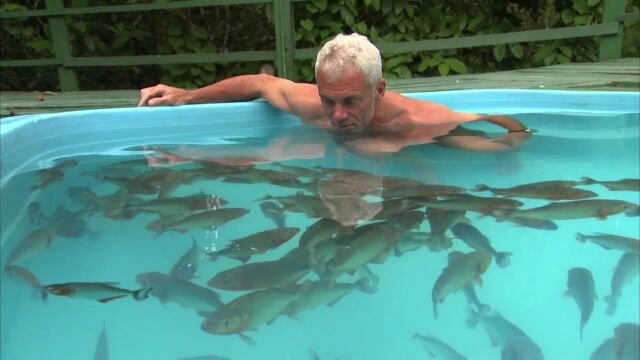 「ね?平気でしょ?」ピラニアの群れが泳ぐプールに入る男、ジェレミー・ウェイド