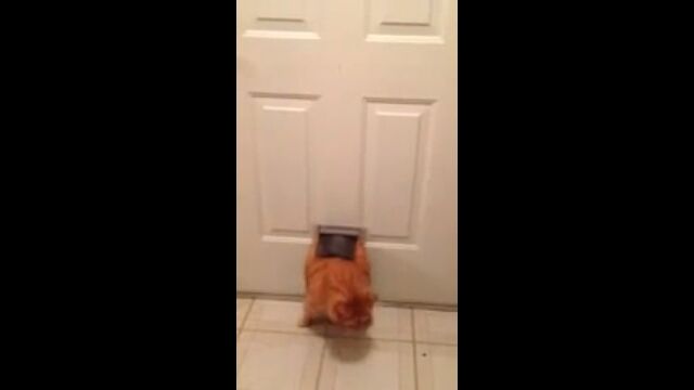 ���ꤹ����ǭ���Ѥν�������˰��óݤ��ä�ǭ������2