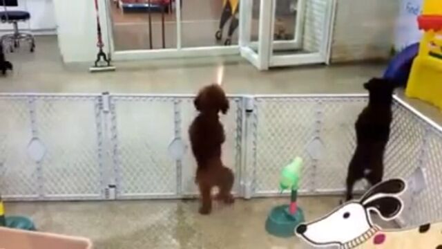 �֤�����ͤ����äƤ��������׻����礬�ޤ����褿���θ���ȿ�����İ�������