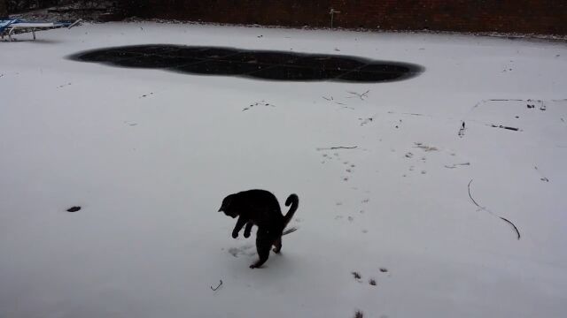 ǭ�ֲ������졪���׽�������ܤ���ǭ��ȿ�����İ���