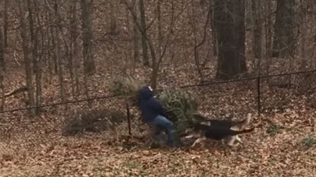 ꥹޥĥ꡼ΤƤȡͷӤȤι˰Фޤ