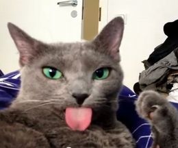 ٥򤷤ޤ˺ƥե꡼äǭ