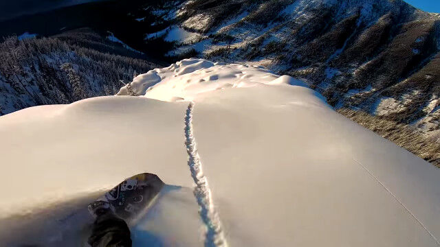 �㥳�֤��餱�ε޼��̤���ߤ��ץ������Ρ��ܡ����������α������ֲ����Ķ�������