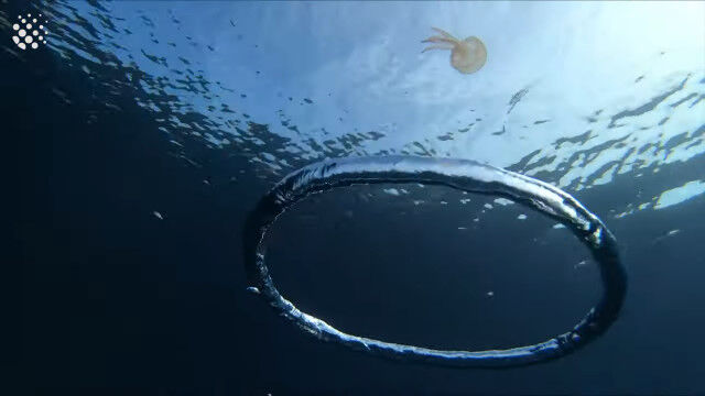 �ʤ�Ȥ�����ƻ���Х֥��󥰤˴������ޤ졢�Բ�ž���Ƥ��ޤ����饲