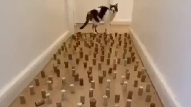 ¿���ξ㳲ʪ����ʤ�����ȴ���Ƥ������ͥ���������ǽ���⤹����