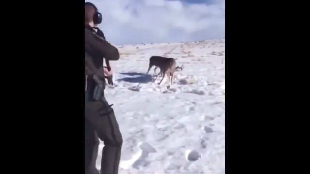 ĥΤޤä2ƬΥȯåȥǲ褷ѡ󥸥㡼