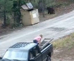 罠にハマった子熊たちに、ほんの少しの手助けを