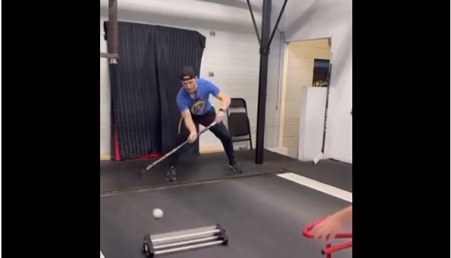 ���꤯��㳲ʪ���򤱤롢�ۥå������ƥ��å����Ф����ä���ȥ졼�˥�