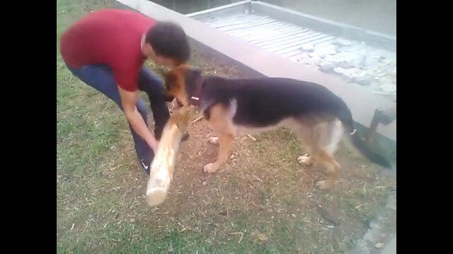 ���������ޤ�����������ʡ������������äƤ��륤�����ȡ��衼���ԥ��󡦥����ѡ��ɸ�