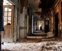 ���ҤȤʤä�����ǻ��Ƥ�����������ѳ����®�ٻ��Ʊ�����Asylum