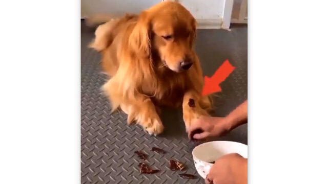 �¤˸������굤�ʤ��������򱣤��Ƥ������븤