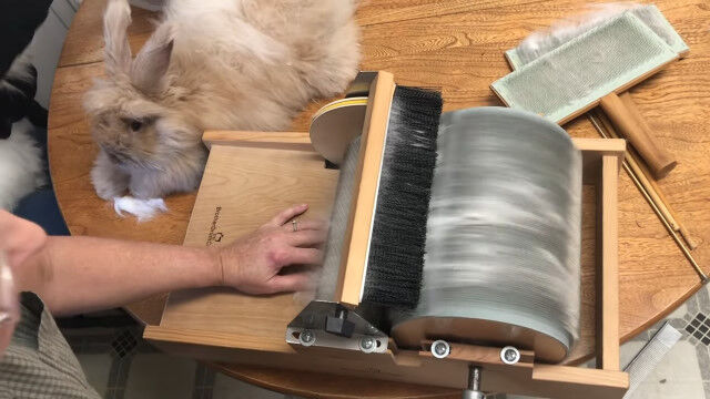 ふわふわモフモフ、アンゴラウサギの毛を加工して毛糸を紡ぐ工程