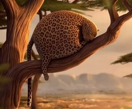�⤷��ưʪ�����������Τ褦�˴ݤ��ä���ġĤȤ������������������硼�ȥ��˥᡼�����ROLLIN` SAFARI