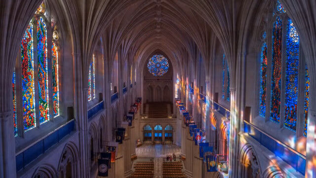 ���ƥ�ɥ��饹�θ����Ѳ������������亮��ȥ�����Ʋ�Υ������ץ�