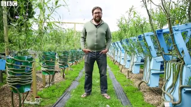家具を栽培するなんて!?木を家具の形に育ててしまう芸術家、ギャビン・マンロー