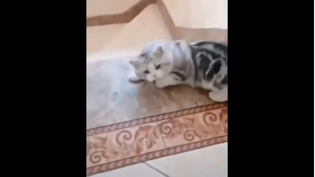 ʤξǤ뤳Ȥ˺졢ŤݡȤäͥ