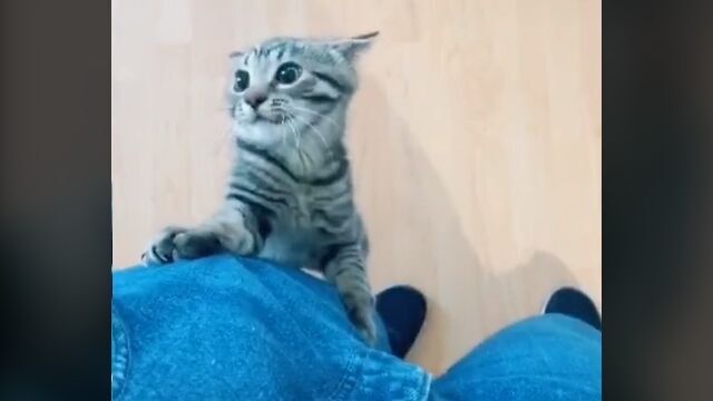 �Ѥ������ʤ����Ǥ⡢���ܥ�򥫥ꥫ�ꤹ��Ȥ���������Ǥ���ǭ