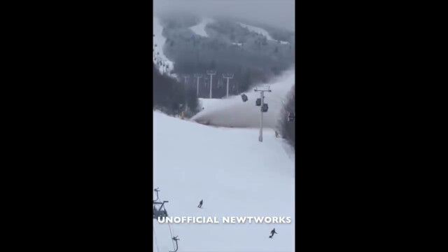 ����ꥫ�Υ������������¤�ѥѥ��פ���»��ʮ�Ф����㤬����ɥ��ľ�⤹�륢�����ǥ��