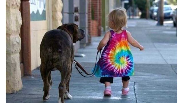 子供も犬も猫もみんな可愛い。子供とペットの仲良し写真その2 32枚