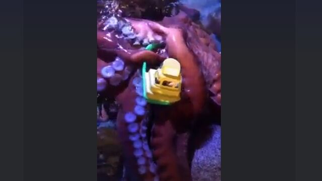 �����ؤα¤��˥�����������Ȥ��ȡ���󥹥����ѥ˥å��ǲ��ʷ�ϵ���ڤ����