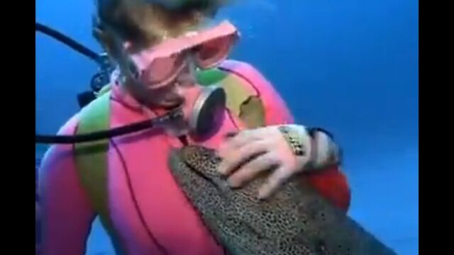 ���դ�����Ƥ��Ф���ˤʤĤ������ĥܤ��ճ��Ȳİ���