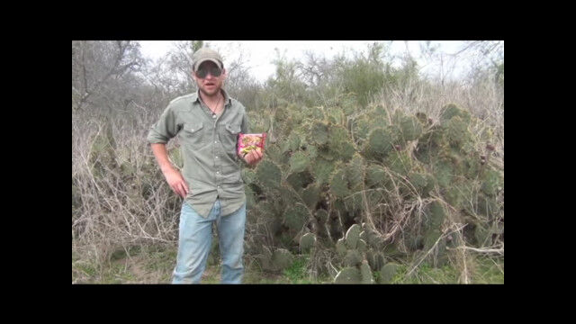 顼󿩤٤餬ʤʻΩġܥƥȤäХХ