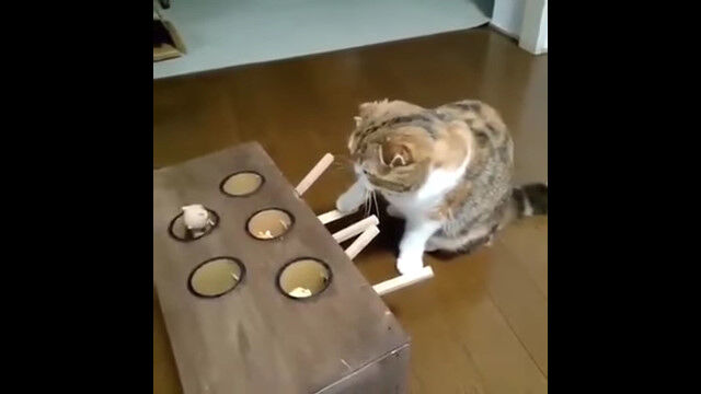 ⥰áΤáʤ⥰Ф¦ȤʤäƤޤäǭ