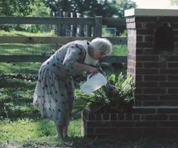 ����Ǥ��Τϥ֥��֥����碌�������������Τ��̤����Υ��硼�ȥࡼ�ӡ���Jedi Grandma