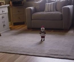 �Τ�ʤ�������ư���Ƥ��륵�󥿿ͷ��ζ��ݤ����������硼�ȥࡼ�ӡ���Creepy Santa Doll