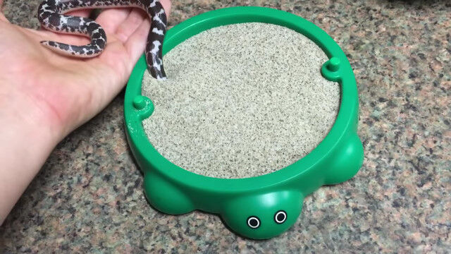 ���Υ٥åɤ������˾��������ʥ��륹�ʥܥ��Υ�åե뤯��