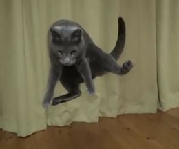 ����ķ��ͷ��ǭ�����򡢥������⡼�����Ǥ��ä��긫�Ƥߤ�