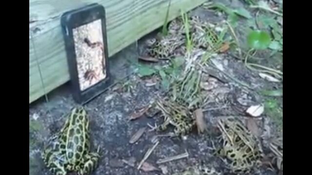 ����������ꡪ�����鼡�ؤȥ����뤬���ޤ롢���ޥ۱������ʤ�ۤ�����