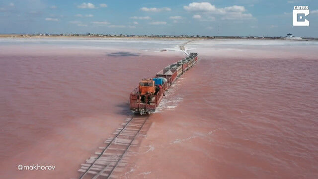 ���������ޤä����Ф�ʤ���֤�����Ū����������������