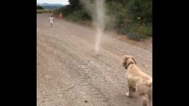 Ω�����������˸������äѤ��ù����Ƥ�����