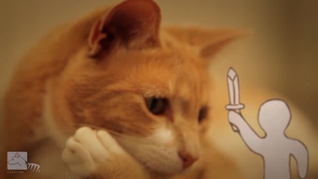 ǭΥ󥸥㡼Ωͦʻͷ硼ȥࡼӡGinger Cat vs The Paper Army