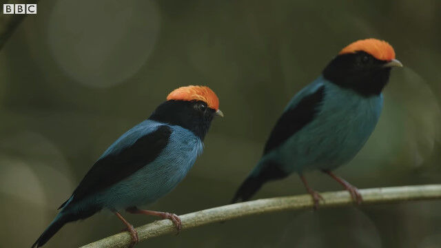 �����ä���������Ω������᥹�˥��ԡ��뤹�롢����ӥ������ޥ����ɥ�εᰦ��ư