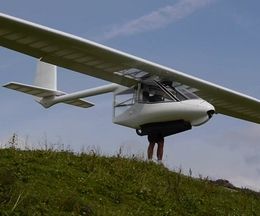 ˤäѥåȤ­äΥΦ륰饤Archaeopteryx