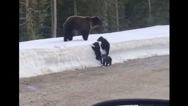 ֻҥޤ襤ʡפʤơΤ󤭤˴ѻΤϴ