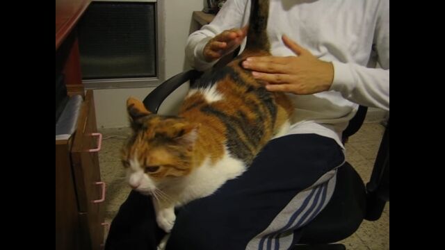 ���᤯á���ơ���äȶ������� ������Х��Х�á�����Τ������ǡ��ߤ��Ⱥ�¥���Ƥ���ǭ