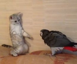 ���ե������ؤ⤿��ξ��ͷ�ֻ�ǭ�ȥ�����